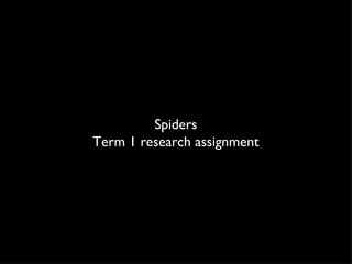 Spiders Term 1 research assignment 