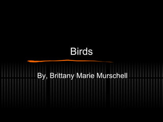 Birds By, Brittany Marie Murschell 