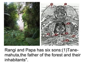 Rangi and Papa has six sons:(1)Tane-mahuta,the father of the forest and their inhabitants". 