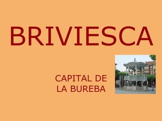 BRIVIESCA
  CAPITAL DE
  LA BUREBA
 