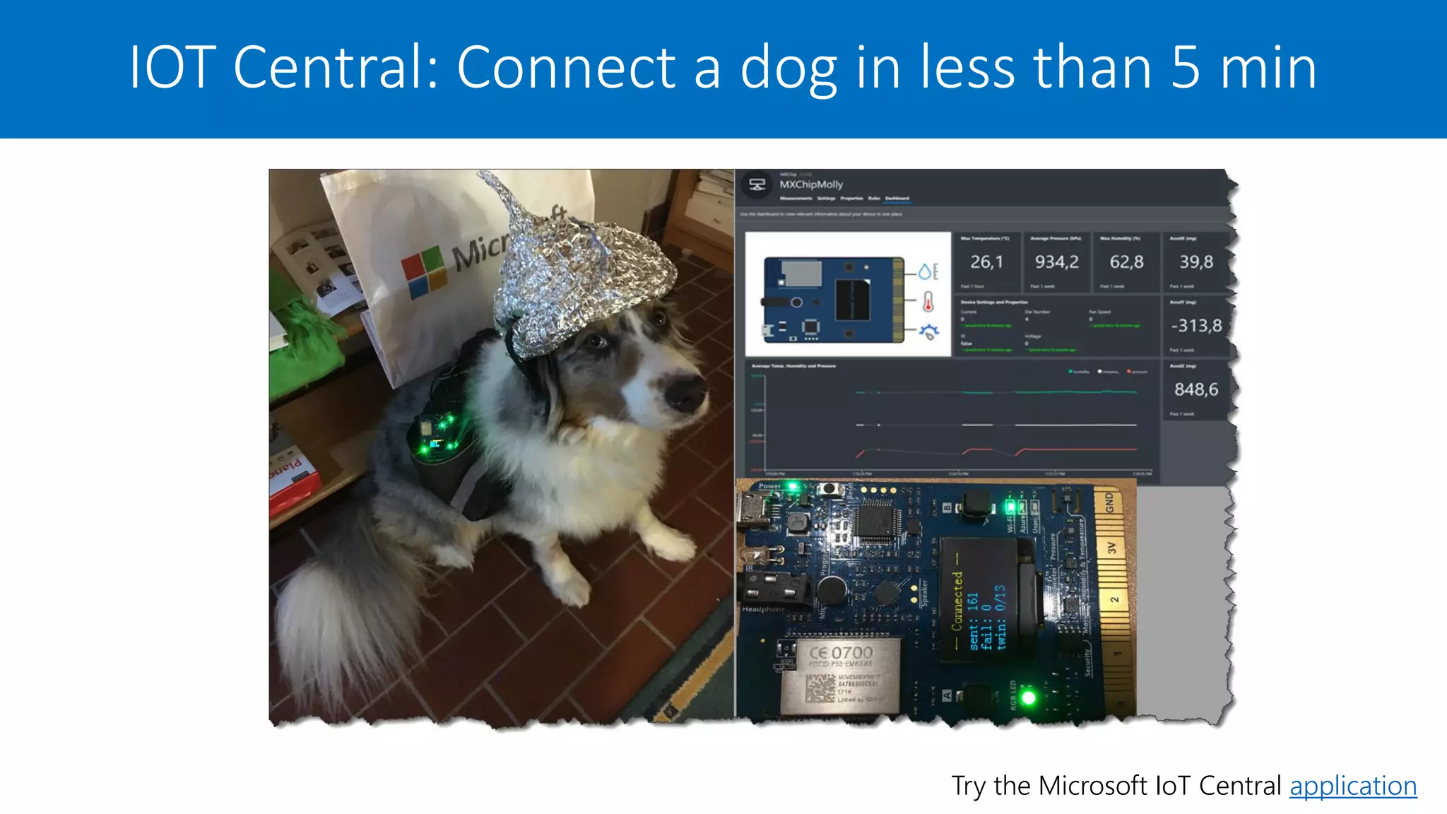 IOT Central: Connect a dog in less than 5 min
Try the Microsoft IoT Central application
 