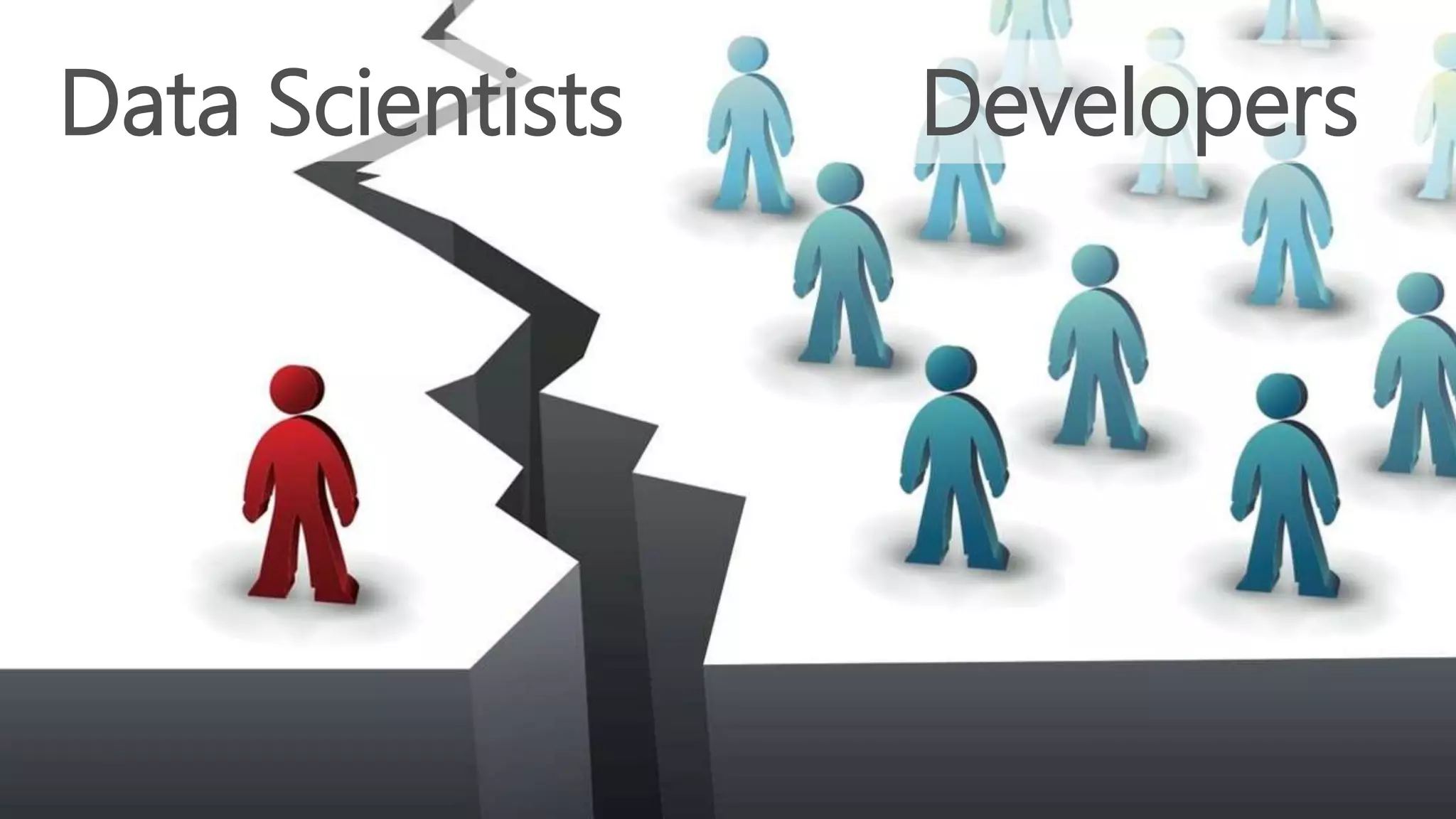 Data Scientists Developers
 