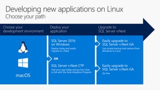 Developing new applications on Linux
Choose your path
Deploy your
application
Choose your
development environment
Upgrade to
SQL Server v.Next
Use simple backup and restore from
Windows to Linux
Go-live
Deploy today and easily
migrate to v.Next
Test your app today and go live close
to GA with the Early Adoption Program
OR
macOS
 
