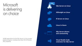 Microsoft
is delivering
on choice
SQL Server on Linux
HDInsight on Linux
R Server on Linux
Linux in Azure
SQL Server drivers
and connectivity
Visual Studio Code
extension for SQL Server
Python,
Ruby, …
20,000 applications for the SQL Server on Linux private
preview program, including more than 55% of Fortune
500 companies.
NEW
 