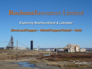 BuchansResources Limited
Exploring Newfoundland & Labrador
Zinc/Lead/Copper – Nickel/Copper/Cobalt – Gold
January 2021
 