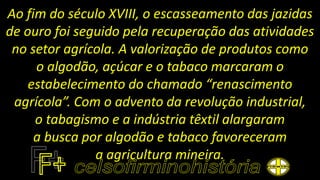 Ao fim do século XVIII, o escasseamento das jazidas
de ouro foi seguido pela recuperação das atividades
no setor agrícola. A valorização de produtos como
o algodão, açúcar e o tabaco marcaram o
estabelecimento do chamado “renascimento
agrícola”. Com o advento da revolução industrial,
o tabagismo e a indústria têxtil alargaram
a busca por algodão e tabaco favoreceram
a agricultura mineira.
 