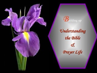 B uilding   up Understanding the Bible & Prayer Life 