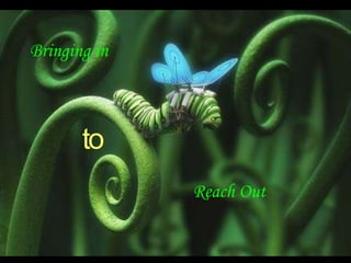 Bringing in Reach Out to 