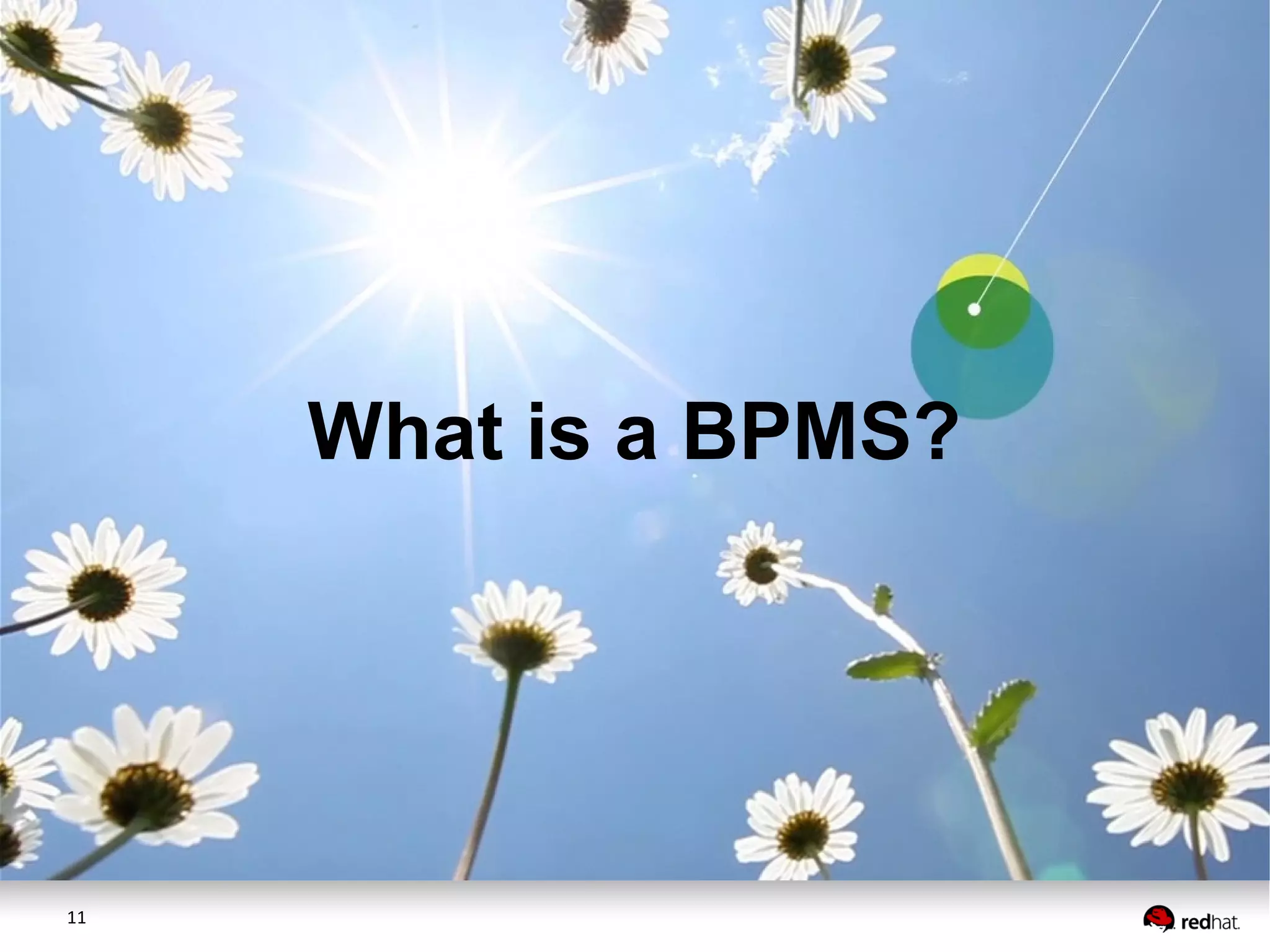 11
What is a BPMS?
 