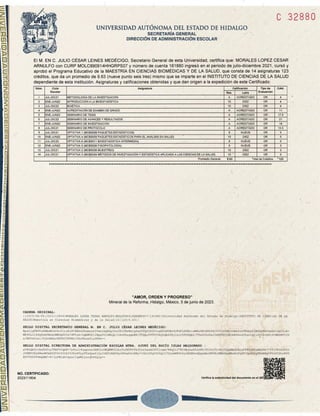 César Arnulfo Morales López - Certificado Total de Posgrado .pdf