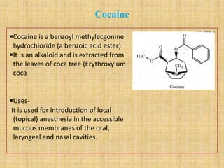 Cocaine
Cocaine is a benzoyl methylecgonine
hydrochioride (a benzoic acid ester).
It is an alkaloid and is extracted from
the leaves of coca tree (Erythroxylum
coca
Uses-
It is used for introduction of local
(topical) anesthesia in the accessible
mucous membranes of the oral,
laryngeal and nasal cavities.
 