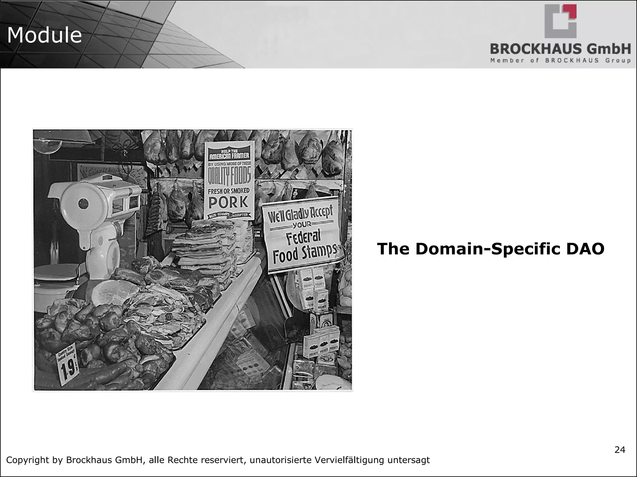 Copyright by Brockhaus GmbH, alle Rechte reserviert, unautorisierte Vervielfältigung untersagt
24
Module
The Domain-Specific DAO
 