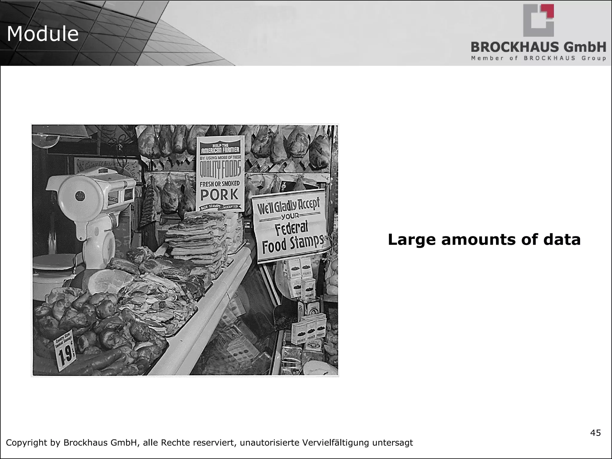 Copyright by Brockhaus GmbH, alle Rechte reserviert, unautorisierte Vervielfältigung untersagt
45
Module
Large amounts of data
 