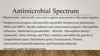 Broad spectrum antibiotics | PPTX