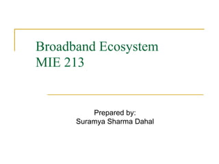 Broadband Ecosystem
MIE 213
Prepared by:
Suramya Sharma Dahal
 