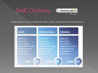    SME Options 	Three options are available to SME’s; Basic, Professional and Premium.