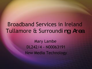 Broadband Services in Ireland Tullamore & Surround ing Area Mary Lambe  DL242/4 - N00063191 New Media Technology 