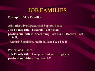 JOB FAMILIES
Example of Job Families:

Administrative/Operational Support Band:
Job Family title: Records Technician
professional titles: Accounting Tech I & II, Records Tech I
  & II,
 Records Specialist, Audit Budget Tech I & II

Professional Band:
Job Family title: Computer Software Engineer
professional titles: Engineer I-V
 