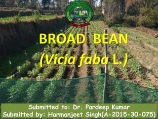 BROAD BEAN
(Vicia faba L.)
1
Submitted to: Dr. Pardeep Kumar
Submitted by: Harmanjeet Singh(A-2015-30-075)
 