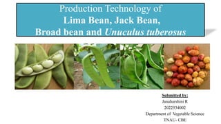 Production Technology of
Lima Bean, Jack Bean,
Broad bean and Unuculus tuberosus
Submitted by:
Janaharshini R
2022534002
Department of Vegetable Science
TNAU- CBE
 
