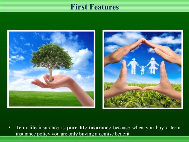 Distinct Features Of Term Life Insurance Canada