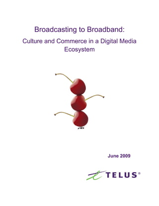 Broadcasting to Broadband:
Culture and Commerce in a Digital Media
              Ecosystem




                             June 2009
 