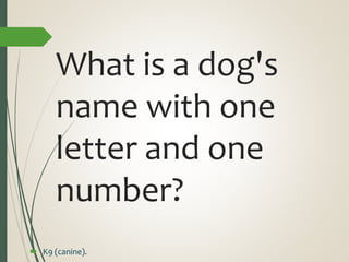 What is a dog's
name with one
letter and one
number?
 K9 (canine).
 