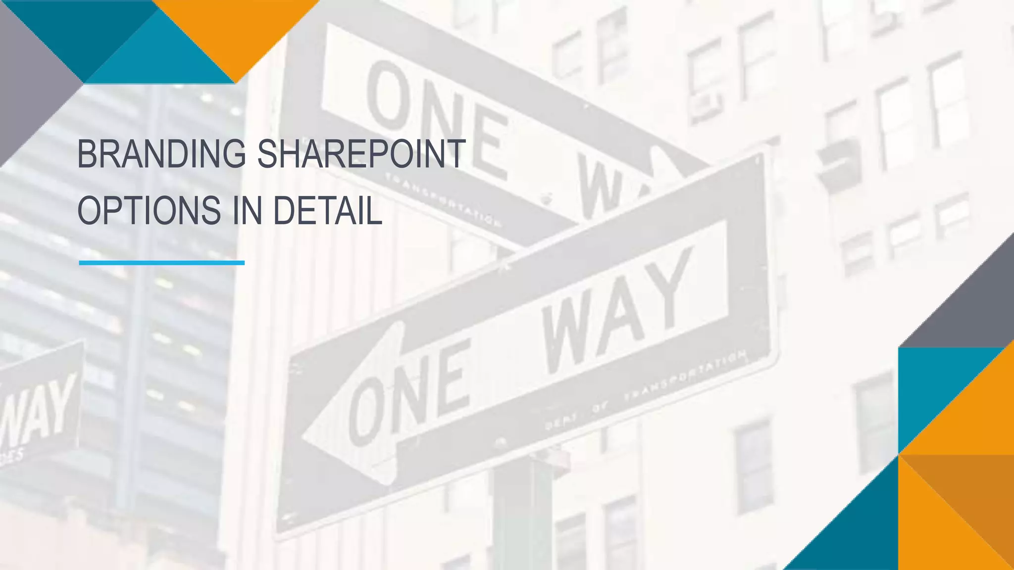 BRANDING SHAREPOINT
OPTIONS IN DETAIL
 