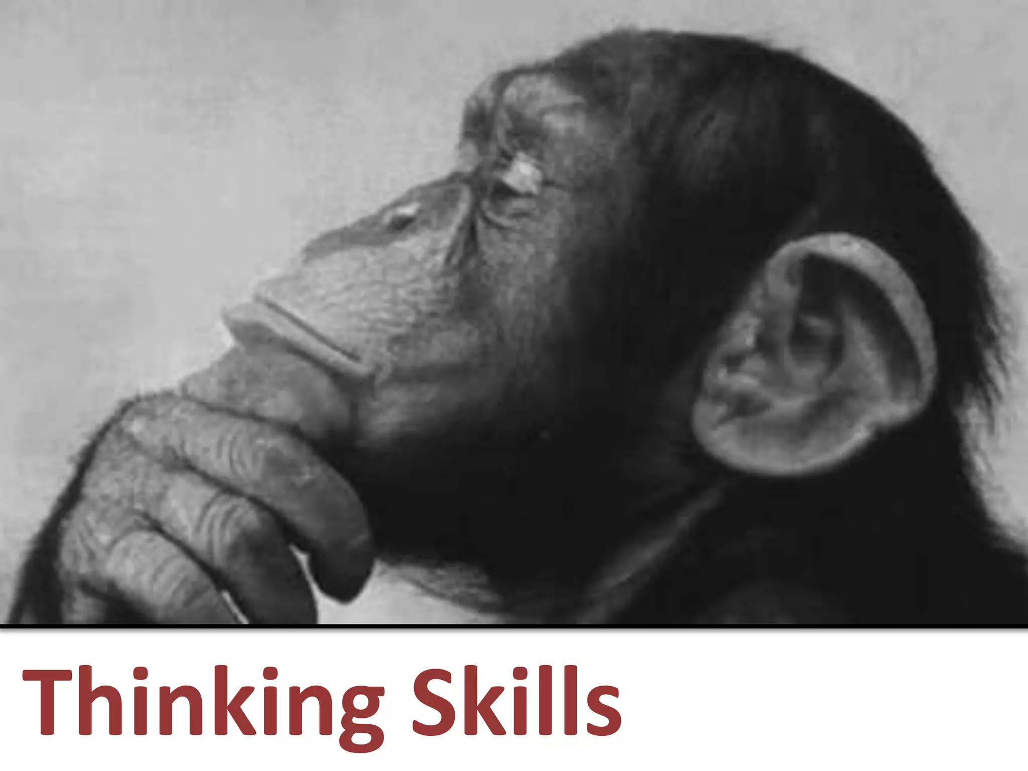 Thinking Skills