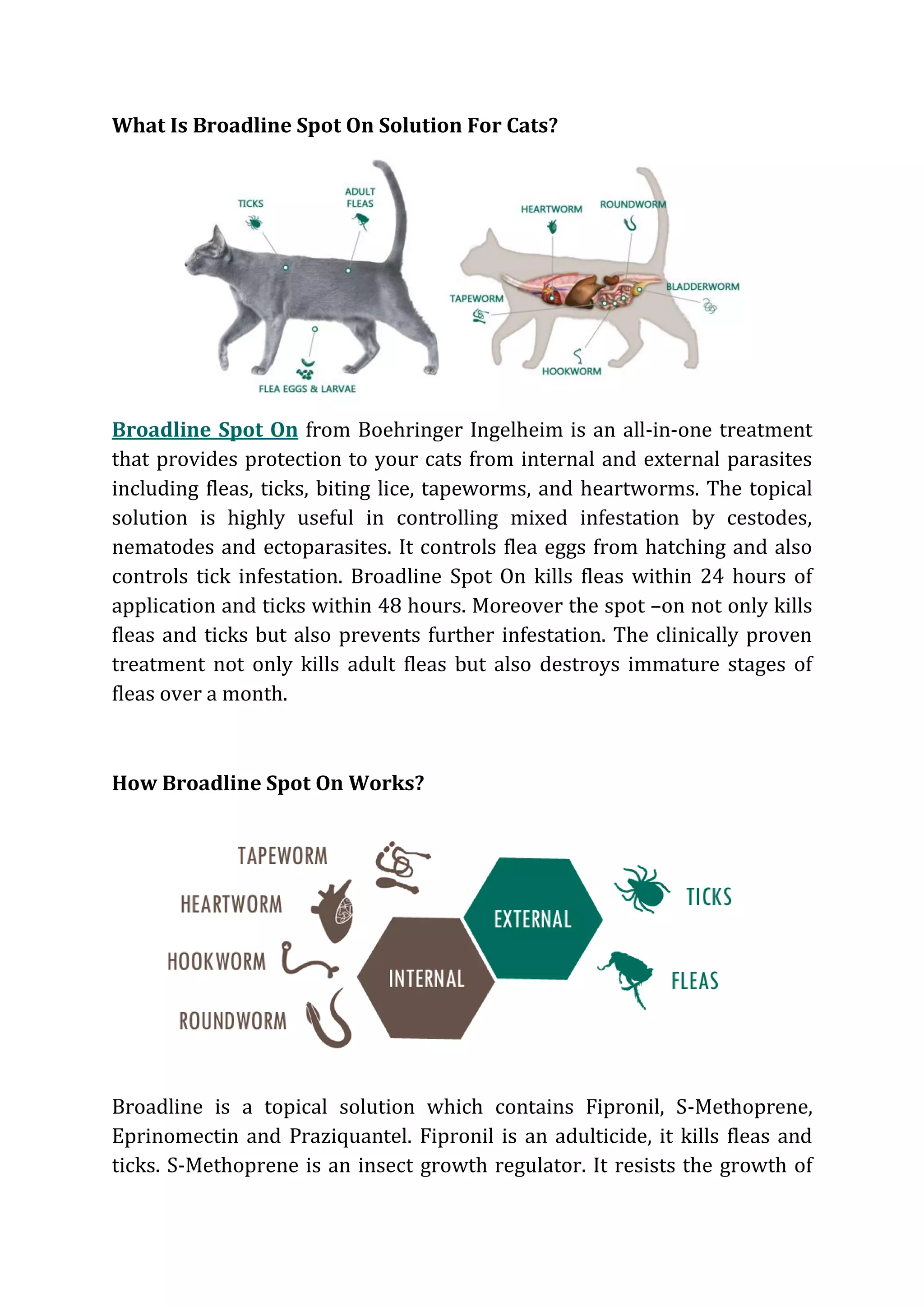 Image showcasing Flea Control in Independence, MO — | Miller Pest