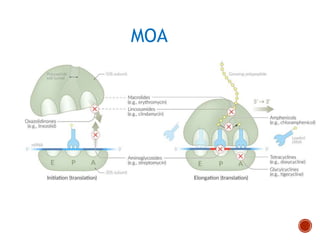 MOA
 