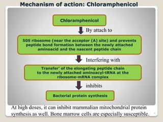 4
Mechanism of action: Chloramphenicol
Transfer’ of the elongating peptide chain
to the newly attached aminoacyl-tRNA at the
ribosome-mRNA complex
50S ribosome (near the acceptor (A) site) and prevents
peptide bond formation between the newly attached
aminoacid and the nascent peptide chain
Bacterial protein synthesis
Chloramphenicol
By attach to
Interfering with
inhibits
At high doses, it can inhibit mammalian mitochondrial protein
synthesis as well. Bone marrow cells are especially susceptible.
 