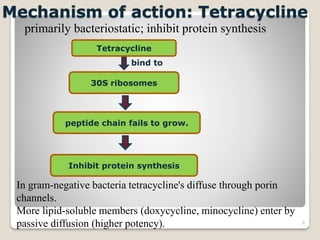 6
Mechanism of action: Tetracycline
primarily bacteriostatic; inhibit protein synthesis
peptide chain fails to grow.
30S ribosomes
Tetracycline
bind to
In gram-negative bacteria tetracycline's diffuse through porin
channels.
More lipid-soluble members (doxycycline, minocycline) enter by
passive diffusion (higher potency).
Inhibit protein synthesis
 