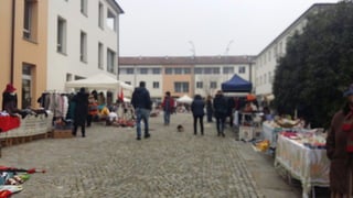 Broccante novembre 2016