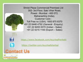 Shristi Plaza Commercial Premises Ltd
302- 3rd Floor, Saki Vihar Road,
Powai - Mumbai - 400 072.
Maharashtra (India).
Customer Care :
Toll Free no (USA): 1800 870 8370
+91 22 6446 4792 (General - Enquiry)
+91 22 6455 0070 (Indian - Sales)
+91 22 4215 1100 (Export – Sales)

https://www.facebook.com/Ayurleafherbals

https://twitter.com/Ayurleafsherbal

Contact Us

 