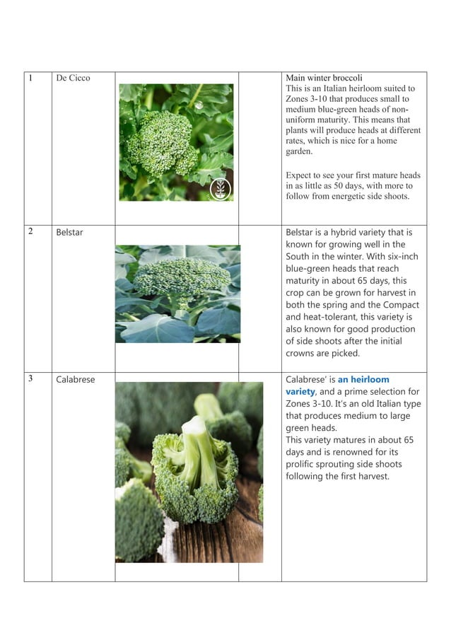 List of commercial varieties of varieties of broccoli DOCX