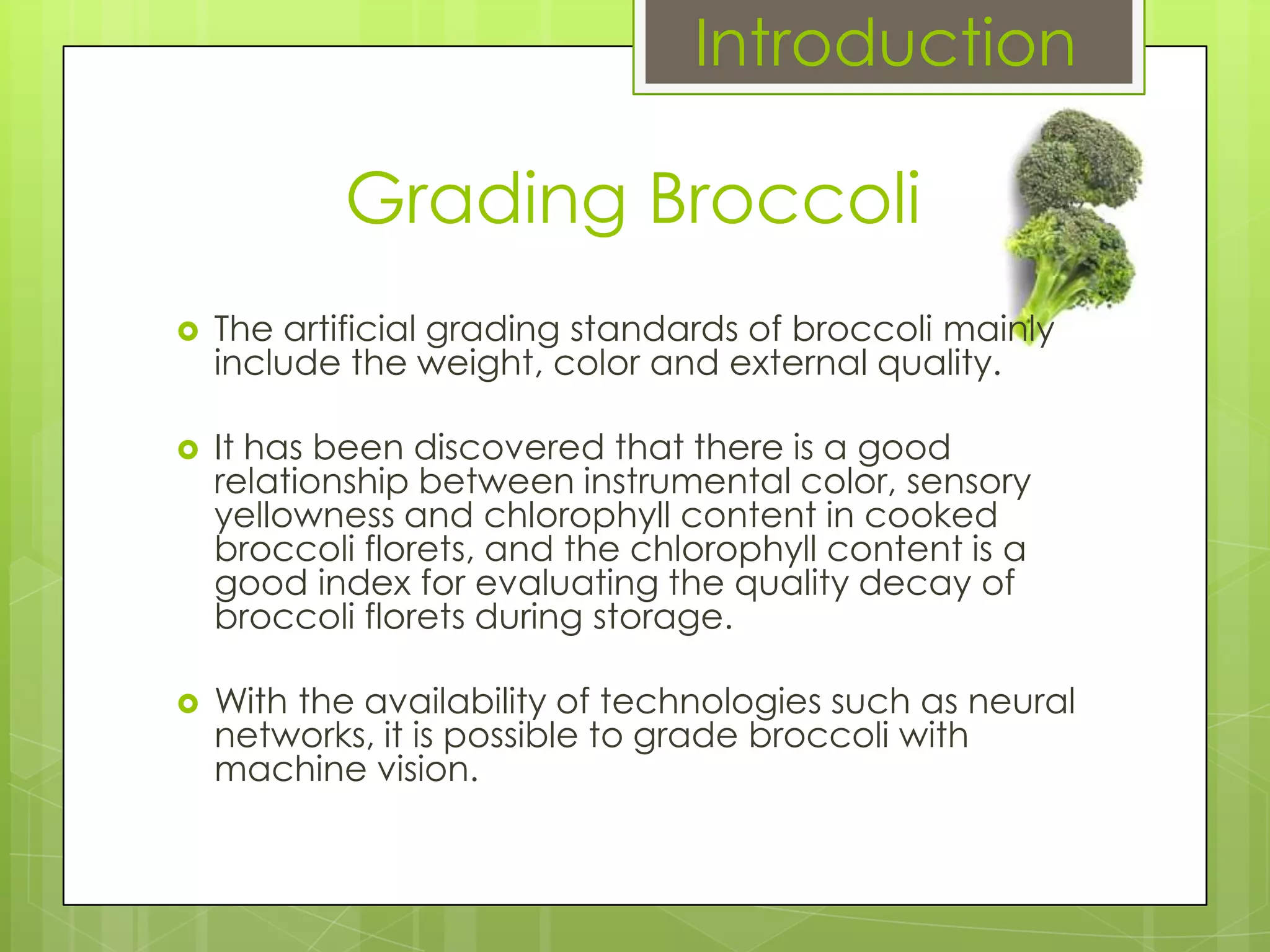 Broccoli Grading | PPTX