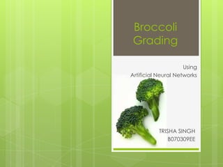 Broccoli Grading  Using  Artificial Neural Networks TRISHA SINGH B070309EE 