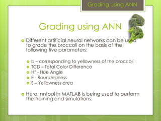 Broccoli Grading | PPTX