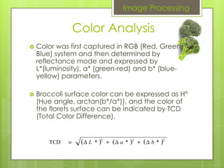 Broccoli Grading | PPTX