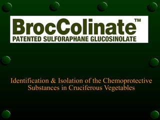 Identification & Isolation of the Chemoprotective Substances in Cruciferous Vegetables 