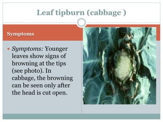 broccoli physiological allah disorders provincial khan