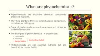 Vegetable as Medicine: Broccoli, Brassica oleracea | PDF