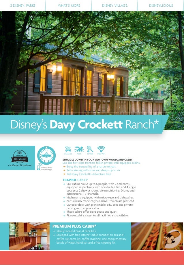 Broch Disney