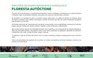 O declínio da riqueza florística e o empobrecimento faunístico, sendo os eucaliptais, constituídos por um coberto arbustivo 
e herbáceo exíguo, as plantações industriais mais pobres sob o ponto de vista faunístico e florístico. 
Os carvalhais e os montados de sobro e de azinho ocupam ainda quase um milhão de hectares em Portugal, sendo 
necessário, no entanto, para a defesa, manutenção e aumento dessa área, que haja uma radical modificação nas políticas 
agro-florestais do nosso país. 
As florestas autóctones são maioritariamente mal geridas incrementando a sua susceptibilidade a ameaças por incêndios, 
pragas, doenças, invasões por espécies exóticas e sujeitas a cortes prematuros e desordenados. 
Não se pode continuar apenas com explorações florestais mono-específicas, com consequências na redução da Biodiversi-dade 
e da diversidade genética. Este aspecto conduz a uma menor capacidade de adaptação a alterações do ambiente e 
a catástrofes como sejam os fogos florestais, pragas e doenças. 
A continuar a onda de incêndios dos últimos anos, as nossas montanhas caminham vertiginosamente para a desertifi-cação. 
O facto da generalidade da população não reconhecer as funções características da floresta autóctone, constituiu uma 
ameaça à sua preservação. 
