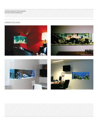 ADn – Aquarium Design 