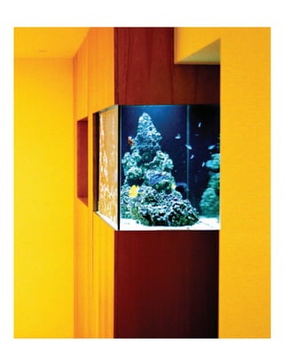 ADn – Aquarium Design 
