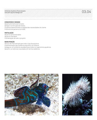 ADn – Aquarium Design 