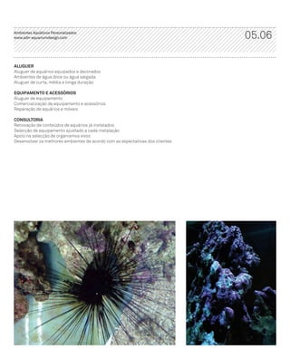 ADn – Aquarium Design 