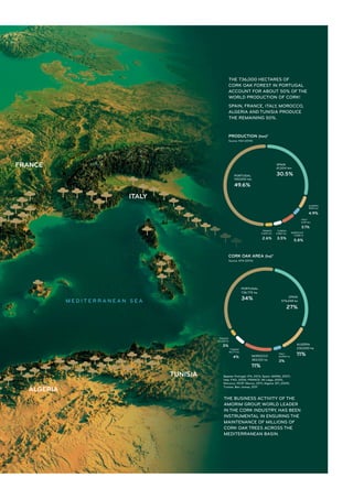 FRANCE
65,228 ha
3%
TUNISIA
85,771 ha
4%
ITALY
64,800 ha
3%
SPAIN
574,248 ha
27%
PORTUGAL
736.775 ha
34%
ALGERIA
230,000 ha
11%MOROCCO
383,120 ha
11%
CORK OAK AREA (ha)*
Source: AFN (2010)
THE BUSINESS ACTIVITY OF THE
AMORIM GROUP, WORLD LEADER
IN THE CORK INDUSTRY, HAS BEEN
INSTRUMENTAL IN ENSURING THE
MAINTENANCE OF MILLIONS OF
CORK OAK TREES ACROSS THE
MEDITERRANEAN BASIN.
Source: Portugal: IFN, 2013; Spain: MARM, 2007;
Italy: FAO, 2005; FRANCE: IM Liége, 2005;
Morocco: HCEF Marroc, 2011; Algeria: EFI, 2009;
Tunisia: Ben Jamaa, 2011
THE 736,000 HECTARES OF
CORK OAK FOREST IN PORTUGAL
ACCOUNT FOR ABOUT 50% OF THE
WORLD PRODUCTION OF CORK!
SPAIN, FRANCE, ITALY, MOROCCO,
ALGERIA AND TUNISIA PRODUCE
THE REMAINING 50%.
SPAIN
61,504 ton
30.5%PORTUGAL
100,000 ton
49.6%
FRANCE
5,200 ton
2.6%
ALGERIA
9,915 ton
4.9%
ITALY
6,161 ton
3.1%
MOROCCO
11,686 to
5.8%
TUNISIA
6,962 ton
3.5%
PRODUCTION (ton)*
Source: FAO (2010)
FRANCE
ITALY
ALGERIA
TUNISIA
M E D I T E R R A N E A N S E A
 